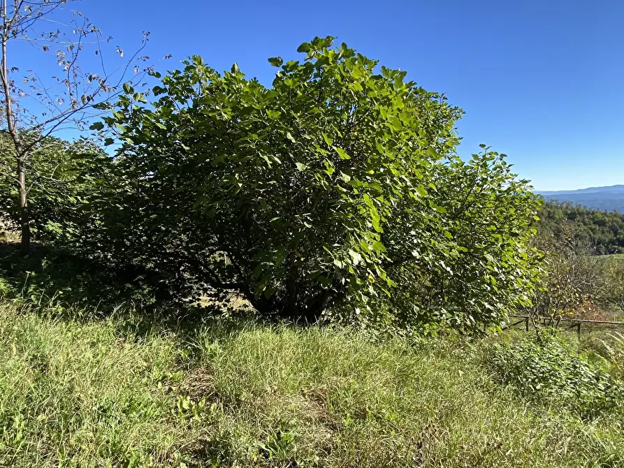 Immagine 21 di Terratetto in vendita  a Dego