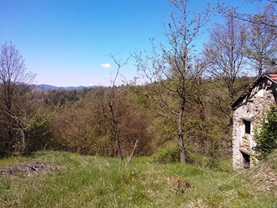 Immagine 8 di Rustico / casale in vendita  a Giusvalla