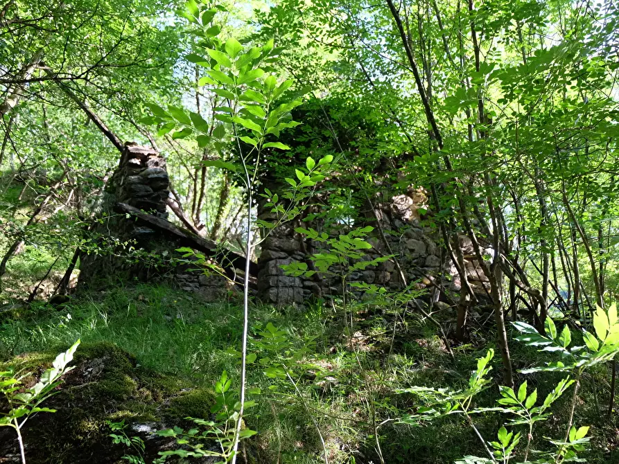 Immagine 16 di Rustico / casale in vendita  in Unnamed Road 13b a Sassello