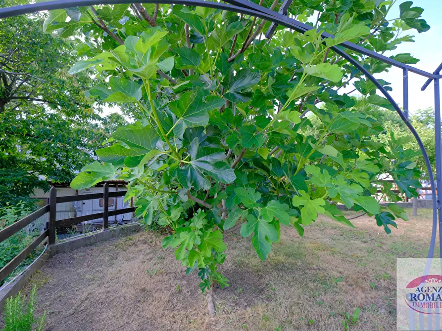 Immagine 6 di Baita in vendita  in Via Vallescura 9 a Urbe