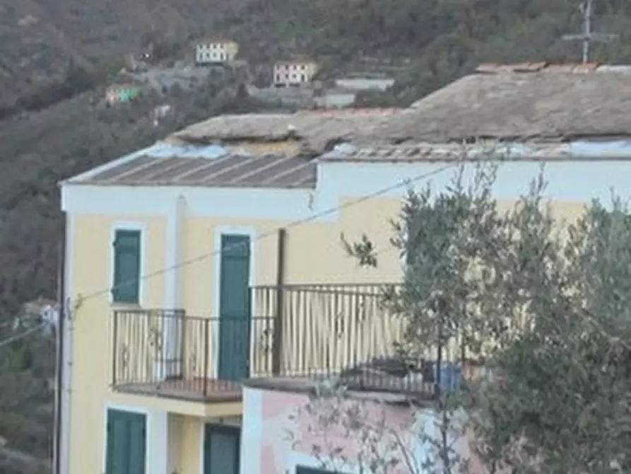 Immagine 13 di Casa trifamiliare in vendita  in Via Roma snc a Recco