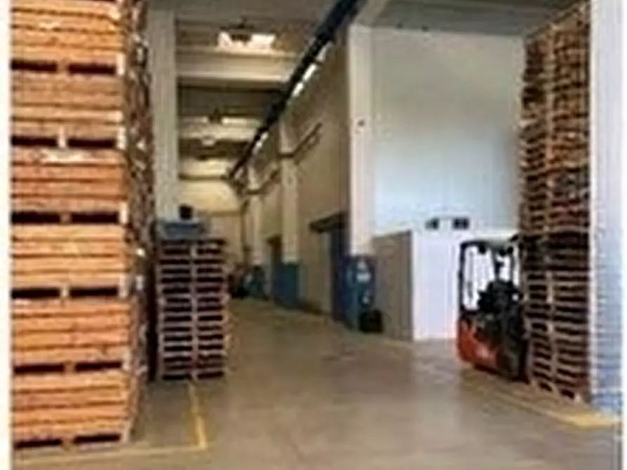 Immagine 8 di Attività artigianale in vendita  in Strada Molina 36 a Castelnuovo Scrivia