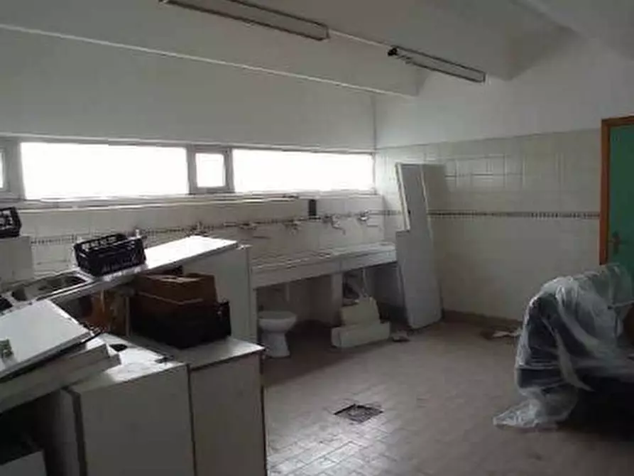 Immagine 3 di Attività artigianale in vendita  in Via Castelspina 11 a Castellazzo Bormida