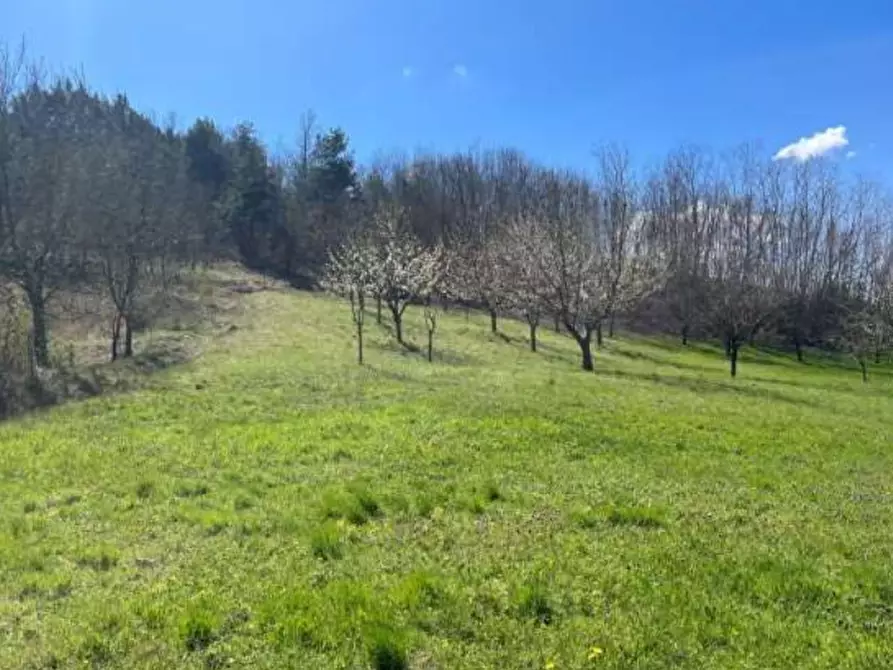 Immagine 10 di Agriturismo in vendita  in Regione Piampodazza 5 a Montechiaro D'acqui