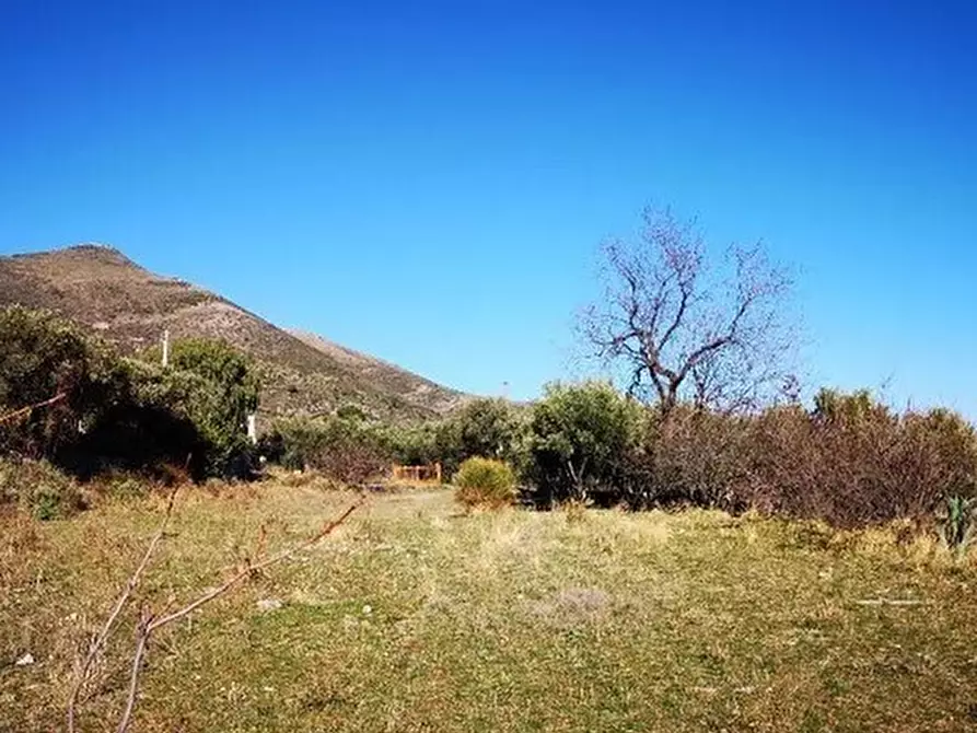 Immagine 3 di Terreno edificabile in vendita  in Via Vicinale Vecchia per Peagna snc a Ceriale