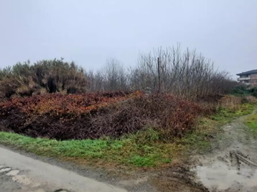 Immagine 1 di Terreno edificabile in vendita  in Regione Fontane snc a Strevi