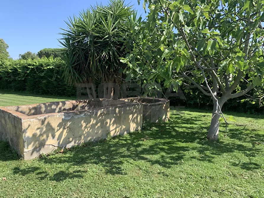 Immagine 4 di Villa in vendita  in Via della chiesa 10 a Cascina