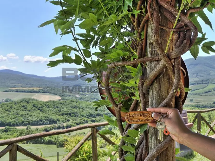 Immagine 30 di Terratetto in vendita  in via della camminata a Guardistallo