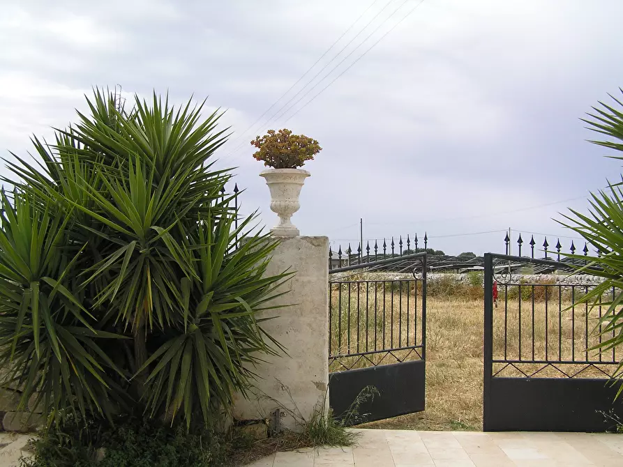Immagine 21 di Casa indipendente in affitto  a Ragusa