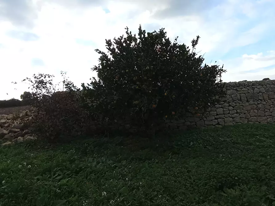 Immagine 3 di Rustico / casale in vendita  a Ragusa