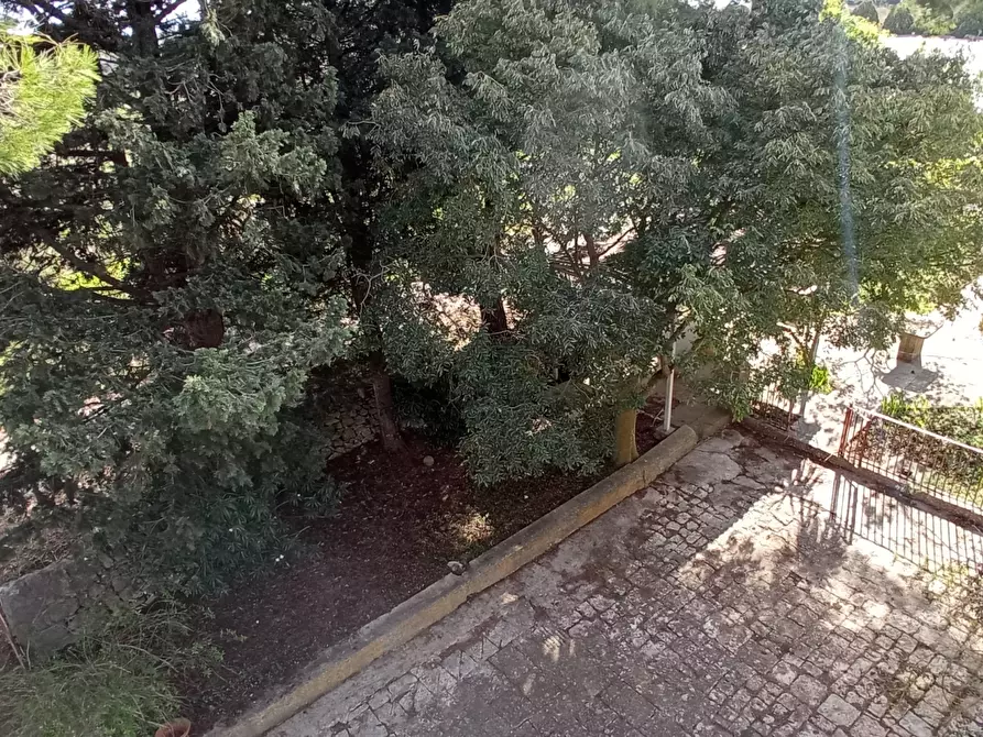 Immagine 6 di Casa indipendente in vendita  in SP25 a Ragusa