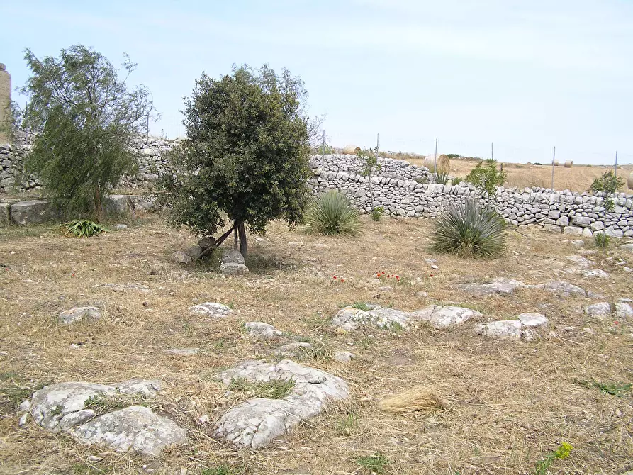 Immagine 20 di Casa indipendente in affitto  a Ragusa