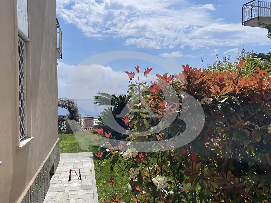 Immagine 23 di Trilocale in vendita  in Via degli Ulivi 5 a Ospedaletti