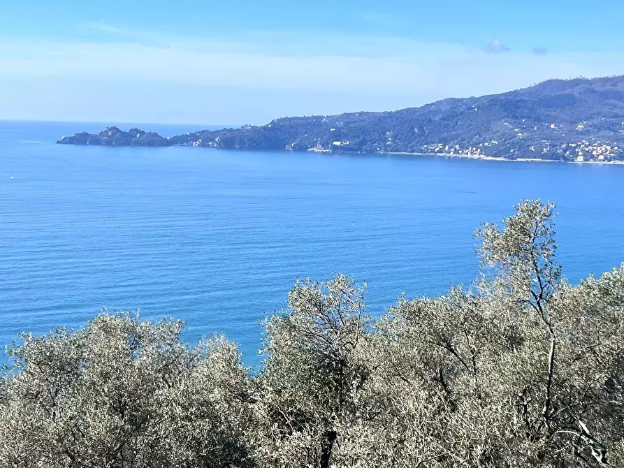 Immagine 1 di Villa in vendita  a Zoagli