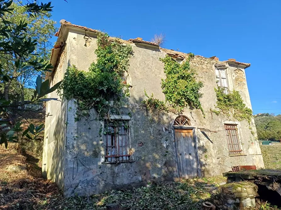 Immagine 9 di Rustico / casale in vendita  in Via Olivella Caminata 17 a Casarza Ligure