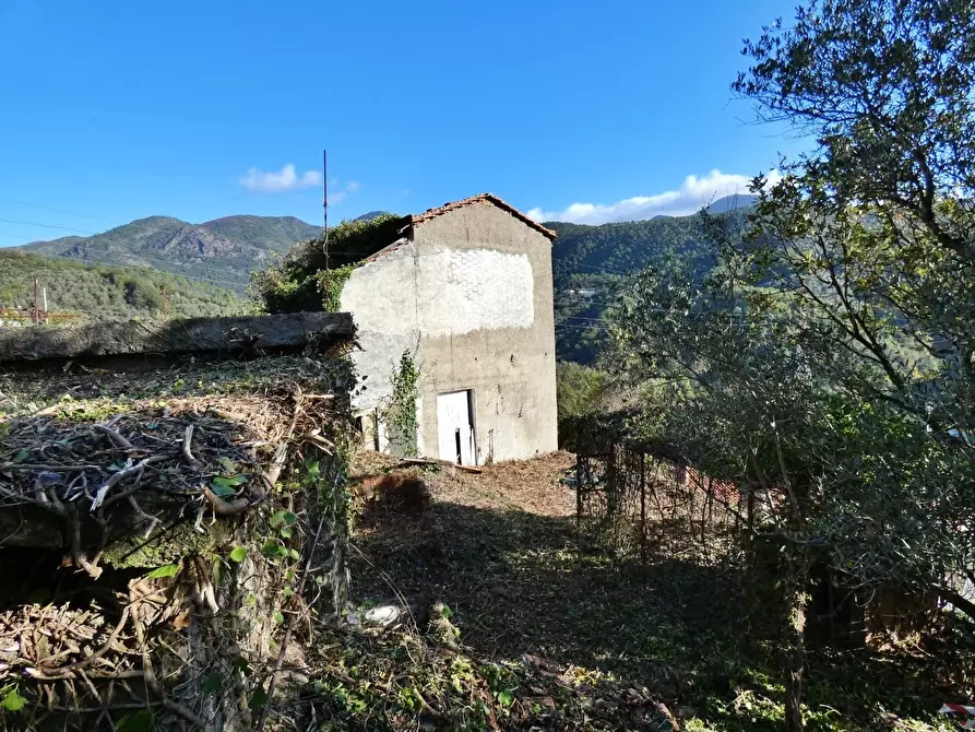 Immagine 20 di Rustico / casale in vendita  in Via Olivella Caminata 17 a Casarza Ligure