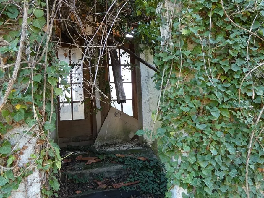 Immagine 16 di Rustico / casale in vendita  in Via Olivella Caminata 17 a Casarza Ligure