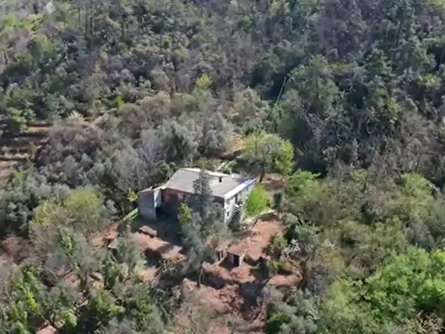 Immagine 5 di Rustico / casale in vendita  in Via dei Cogorno 110 a Cogorno