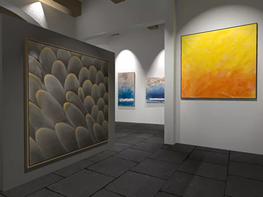 Immagine 37 di Locale commerciale in vendita  a Piombino