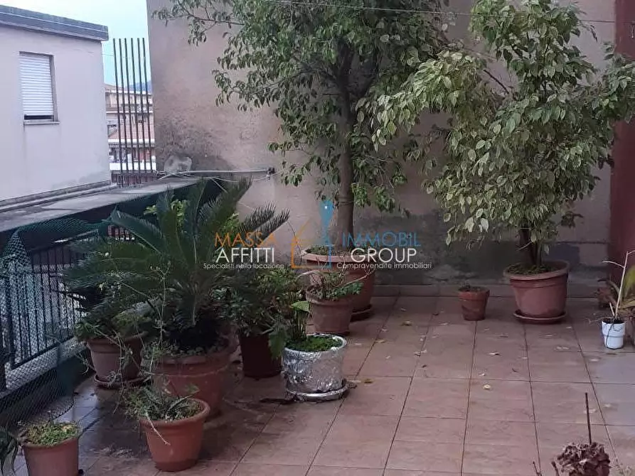 Immagine 9 di Quadrilocale in vendita  in Viale Eugenio Chiesa 7 a Massa