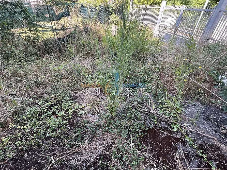 Immagine 48 di Terratetto in vendita  in Via Paolo Belmesseri 7 a Massa