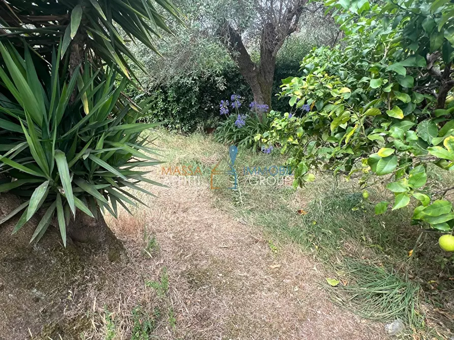 Immagine 2 di Terreno agricolo in vendita  in Via San Giuseppe Vecchio 37 a Massa