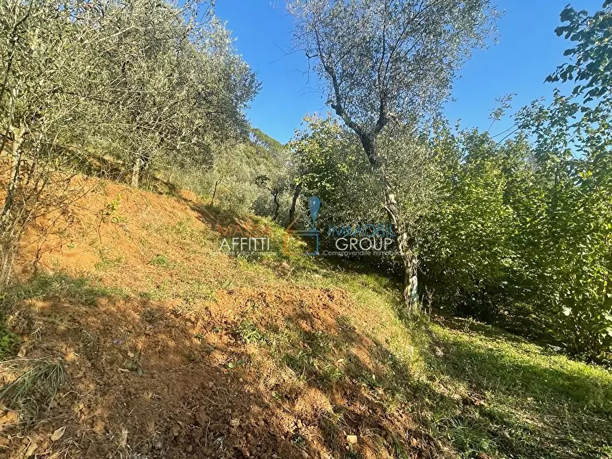 Immagine 46 di Casa indipendente in vendita  in Via San Vitale 7 a Massa