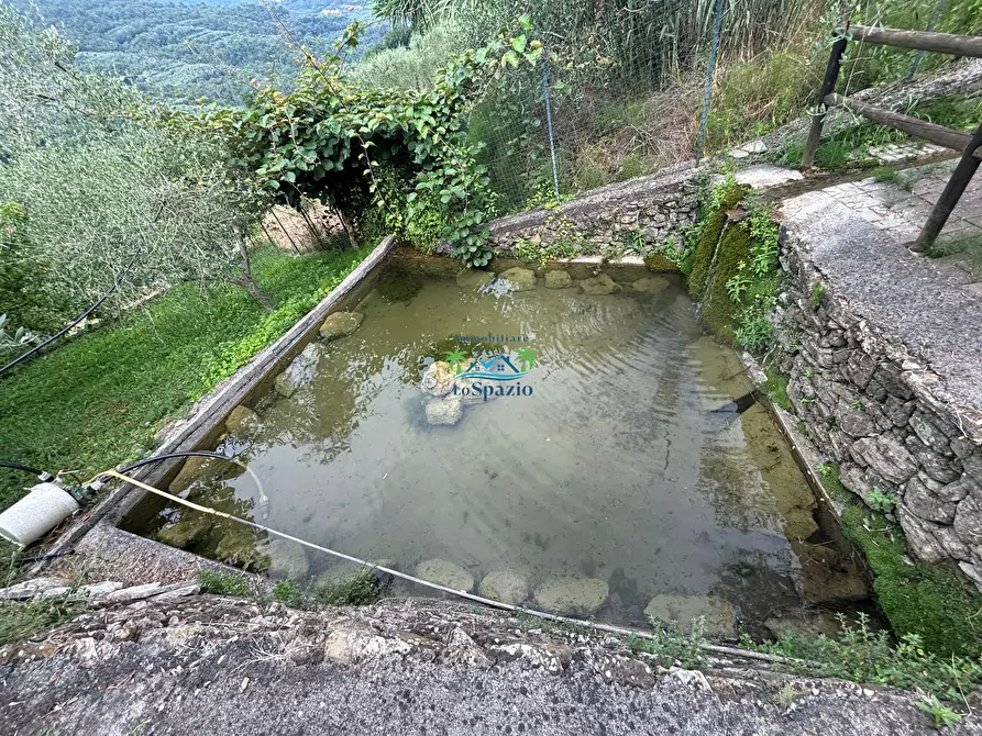 Immagine 84 di Rustico / casale in vendita  in Località Ciantà a Stellanello
