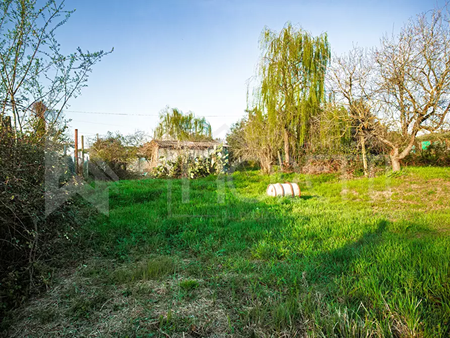 Immagine 37 di Terreno agricolo in vendita  in Via delle Sorgenti a Livorno