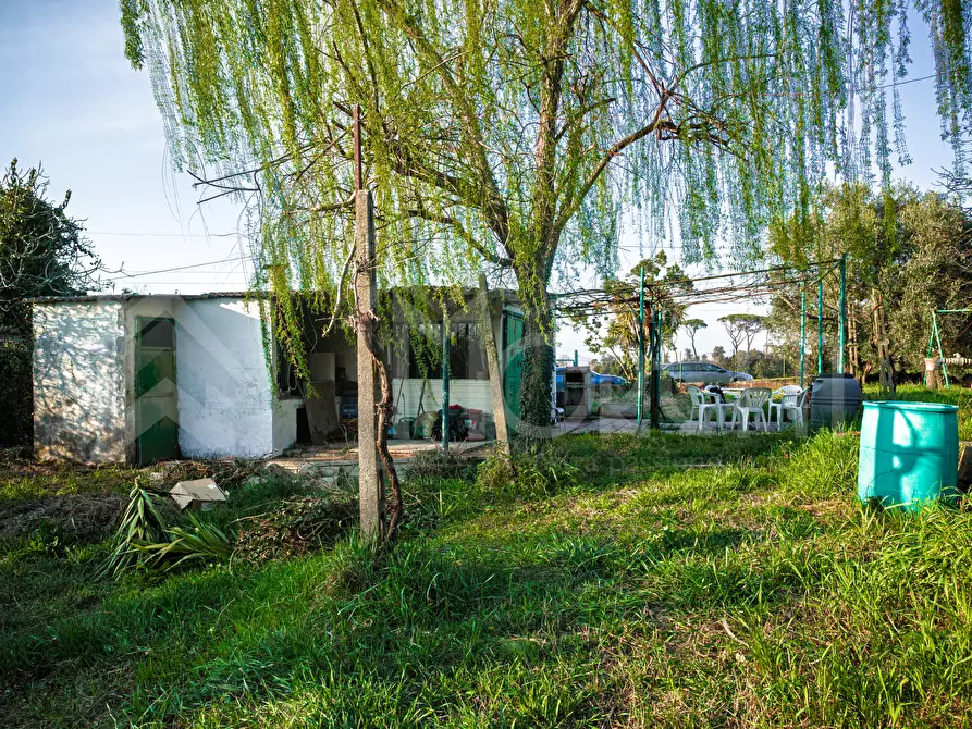 Immagine 10 di Terreno agricolo in vendita  in Via delle Sorgenti a Livorno