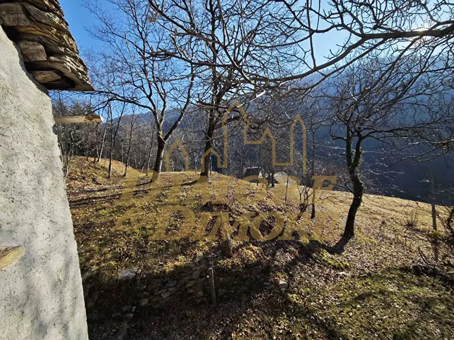 Immagine 2 di Rustico / casale in vendita  in Via Colonnello Giuseppe Garbagni 92 a Craveggia