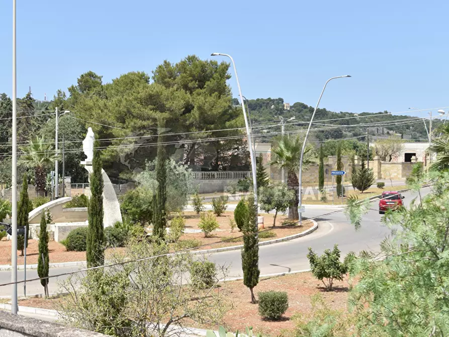 Immagine 13 di Terreno agricolo in vendita  in Via Carlo Donat Cattin 61 a Specchia