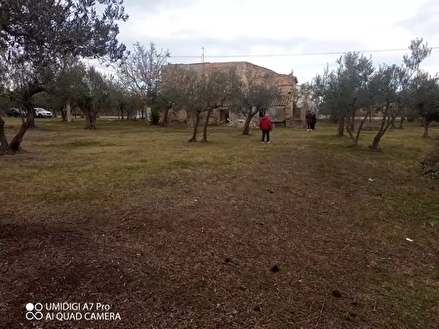 Immagine 16 di Rustico / casale in vendita  in VIA VECCHIA SCORCIOSA a Fossacesia