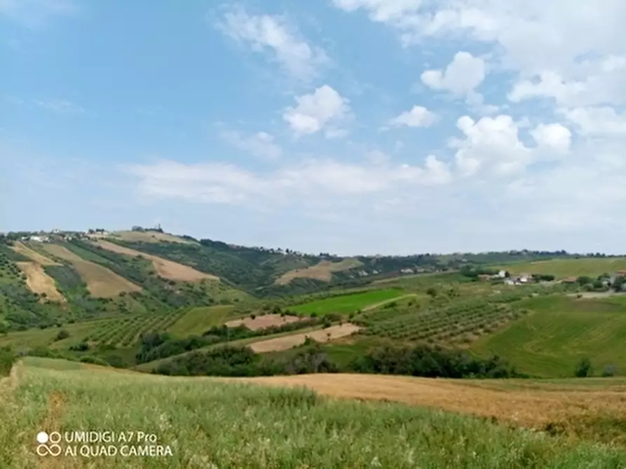Immagine 12 di Terreno agricolo in vendita  in LOCALITA' CATOSCIO a Castel Frentano