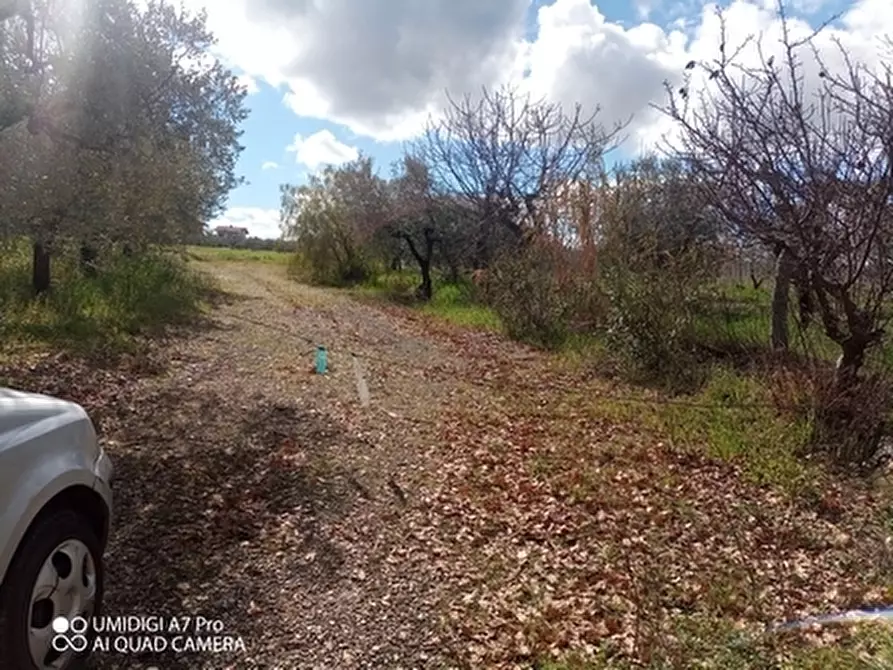 Immagine 19 di Terreno agricolo in vendita  a Fossacesia