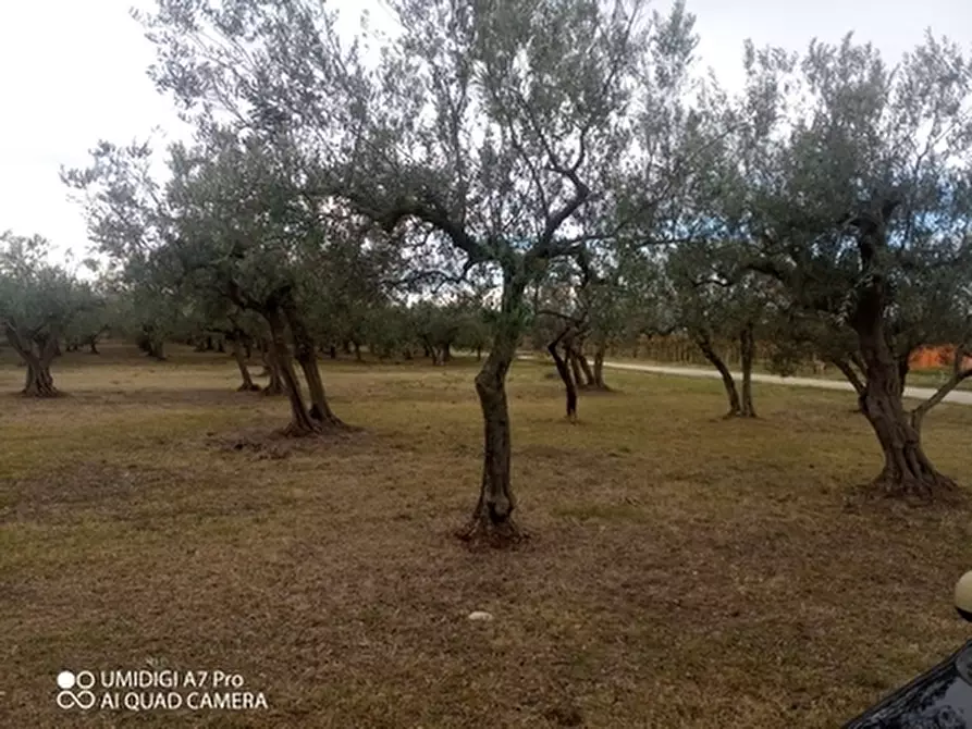 Immagine 3 di Rustico / casale in vendita  in VIA VECCHIA SCORCIOSA a Fossacesia