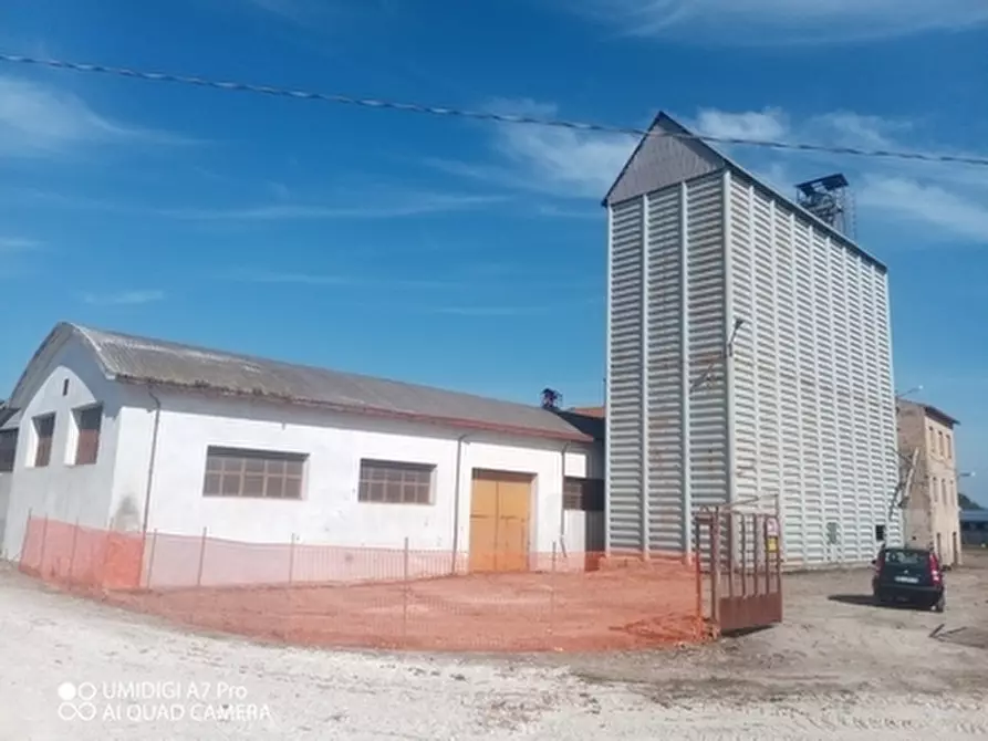 Immagine 4 di Attività artigianale in vendita  in C.DA PIANA LA BARCA a Paglieta