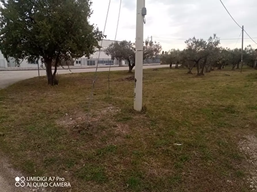 Immagine 22 di Rustico / casale in vendita  in VIA VECCHIA SCORCIOSA a Fossacesia