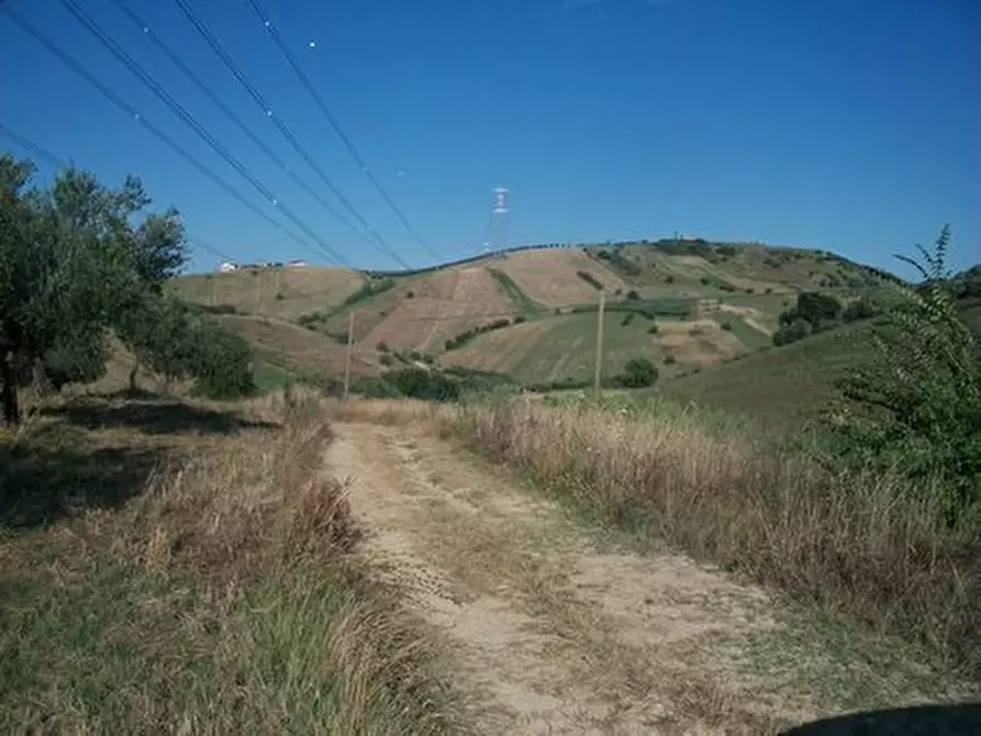 Immagine 8 di Terreno agricolo in vendita  in C.DA RIZZACORNO a Lanciano