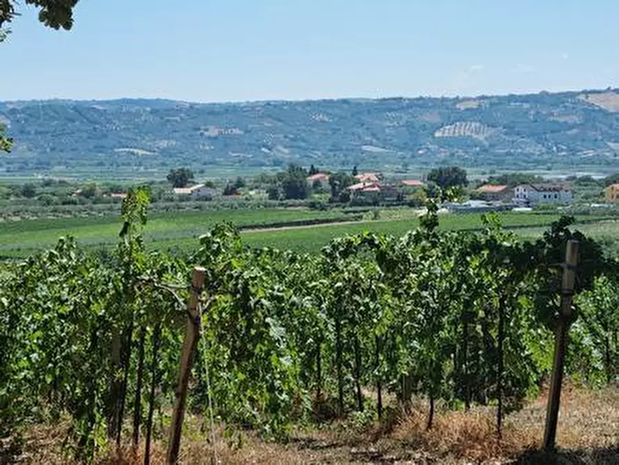Immagine 6 di Terreno agricolo in vendita  a Santa Maria Imbaro