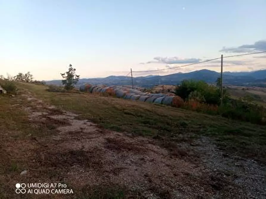 Immagine 35 di Rustico / casale in vendita  in VIA DE THOMASSIS a Castel Frentano