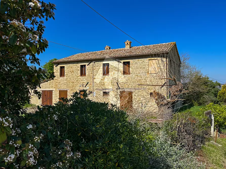 Immagine 4 di Rustico / casale in vendita  a Serra San Quirico