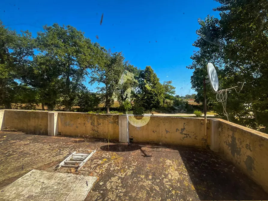 Immagine 15 di Rustico / casale in vendita  a Senigallia