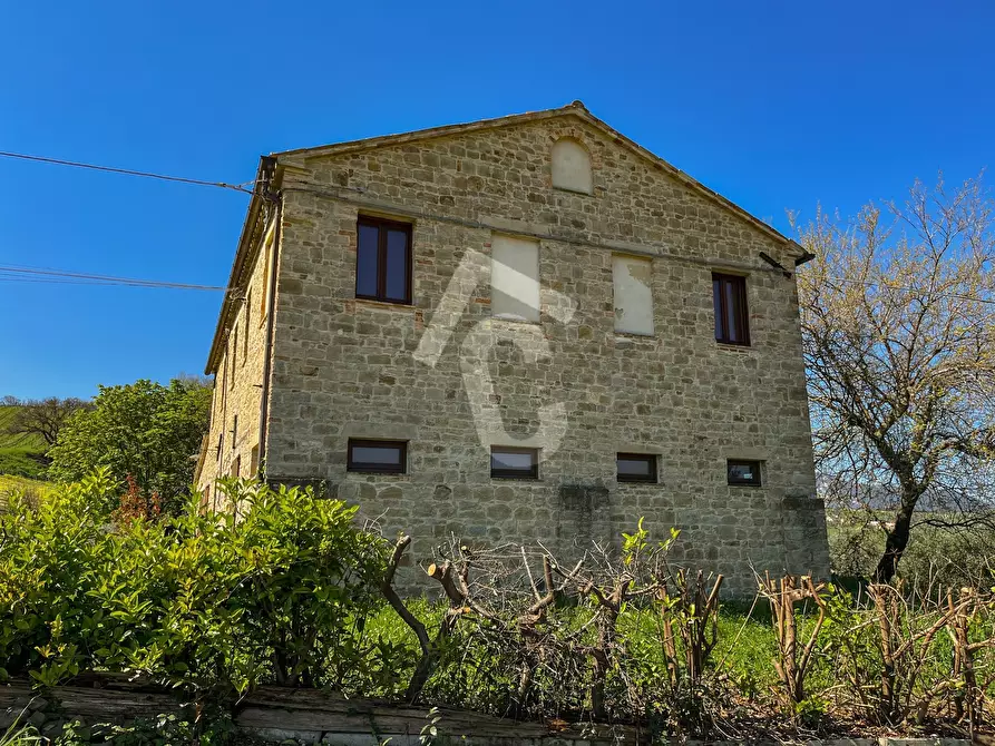 Immagine 7 di Rustico / casale in vendita  a Serra San Quirico