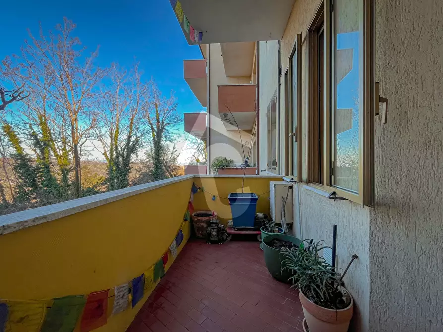 Immagine 4 di Appartamento in vendita  a Maiolati Spontini