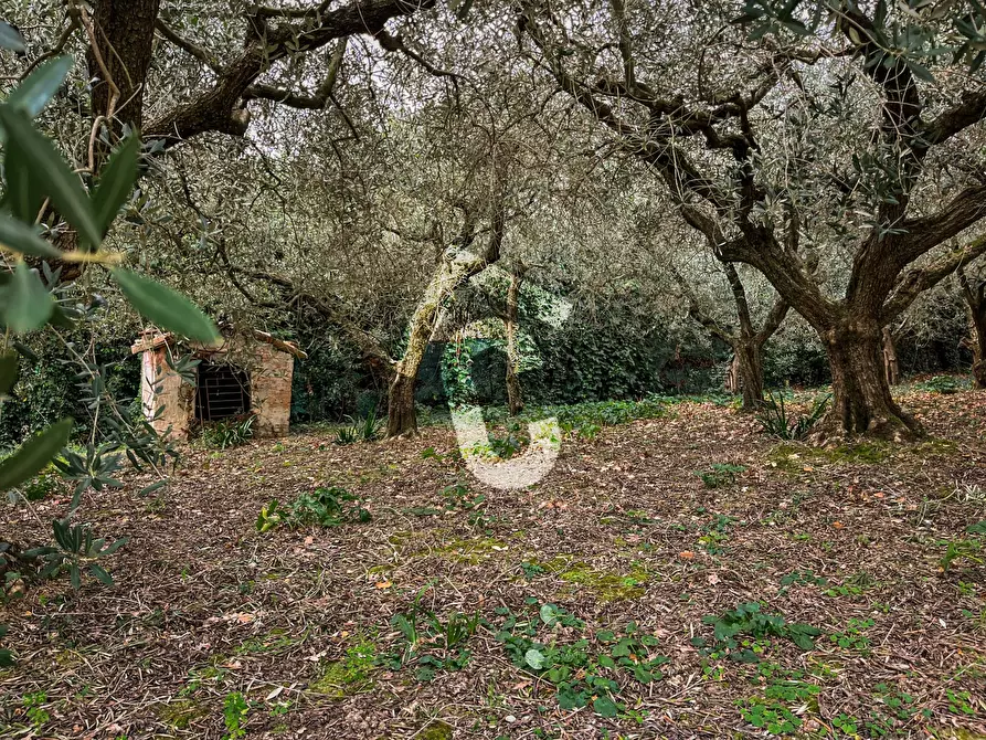 Immagine 27 di Terreno edificabile in vendita  a Jesi