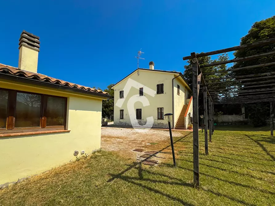 Immagine 4 di Rustico / casale in vendita  a Maiolati Spontini