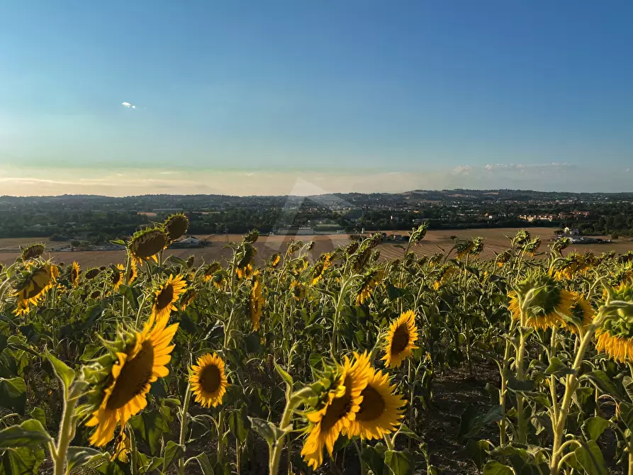 Immagine 31 di Rustico / casale in vendita  a Jesi