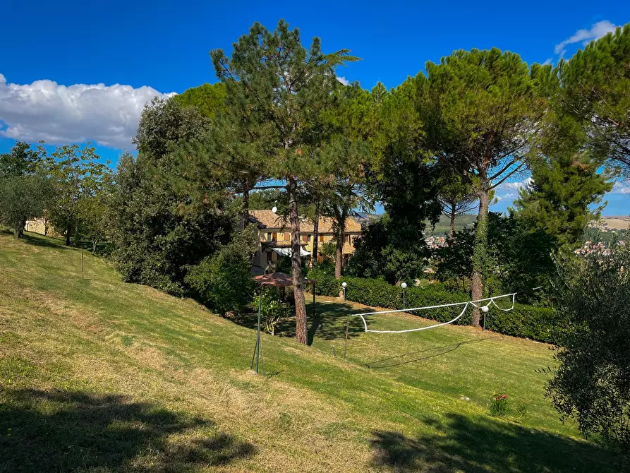 Immagine 47 di Casa bifamiliare in vendita  a Castelbellino