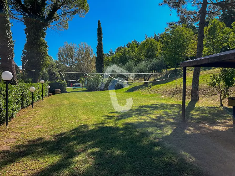 Immagine 6 di Casa bifamiliare in vendita  a Castelbellino